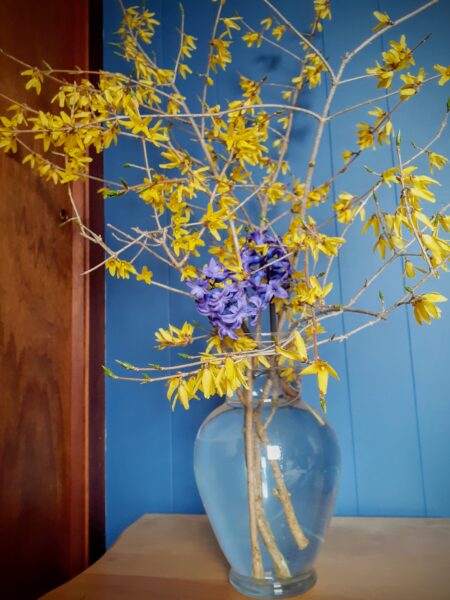 Decorating Forsythia and Hyacinths in a Flower Vase
