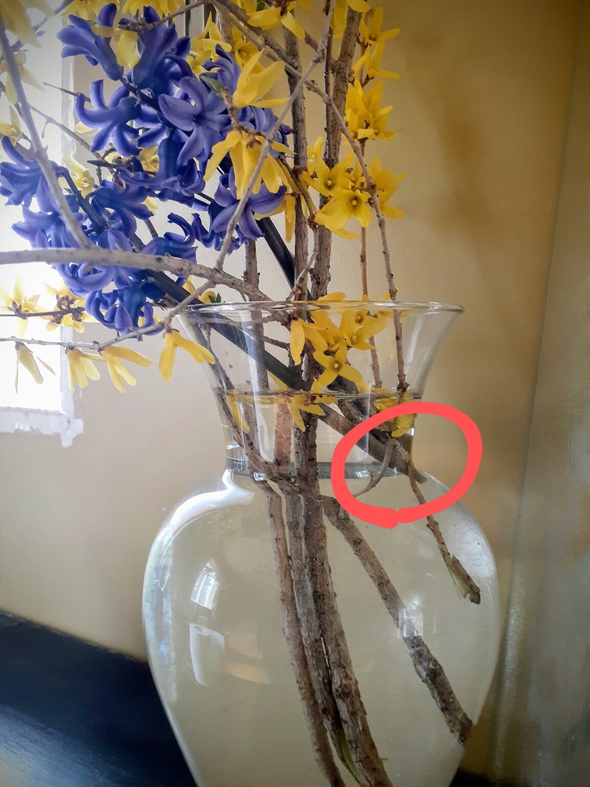 Decorating Forsythia and Hyacinths in a Flower Vase Flower Arrangement Technique Gardening
